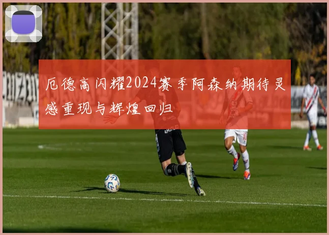 厄德高闪耀2024赛季阿森纳期待灵感重现与辉煌回归