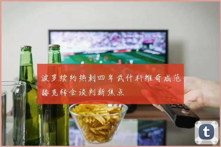 波罗续约热刺四年武什科维奇成范赫克转会谈判新焦点