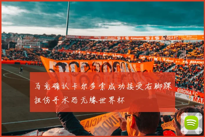 马竞确认卡尔多索成功接受右脚踝扭伤手术恐无缘世界杯